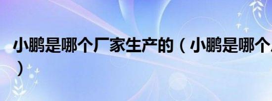 小鹏是哪个厂家生产的（小鹏是哪个厂家的车）