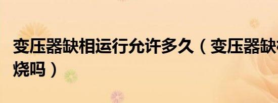 变压器缺相运行允许多久（变压器缺相运行会烧吗）