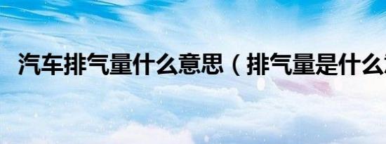 汽车排气量什么意思（排气量是什么意思）