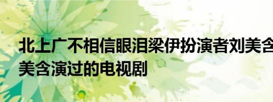 北上广不相信眼泪梁伊扮演者刘美含资料 刘美含演过的电视剧