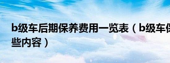 b级车后期保养费用一览表（b级车保养做哪些内容）