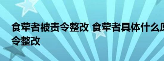 食荤者被责令整改 食荤者具体什么原因被责令整改