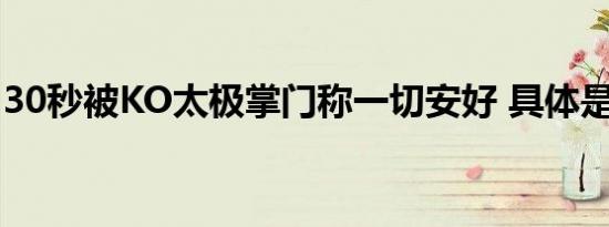 30秒被KO太极掌门称一切安好 具体是啥情况