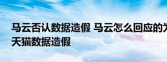 马云否认数据造假 马云怎么回应的为什么说天猫数据造假