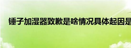 锤子加湿器致歉是啥情况具体起因是什么