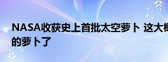 NASA收获史上首批太空萝卜 这大概是最贵的萝卜了