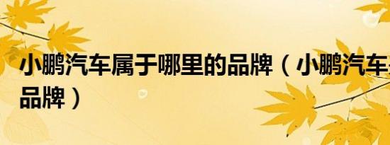小鹏汽车属于哪里的品牌（小鹏汽车是哪国的品牌）