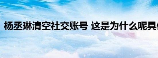 杨丞琳清空社交账号 这是为什么呢具体情况