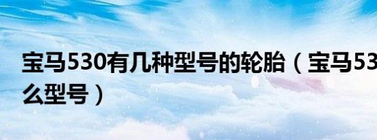 宝马530有几种型号的轮胎（宝马530轮胎什么型号）
