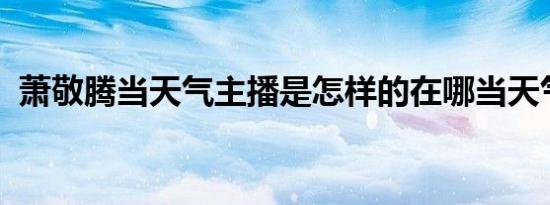 萧敬腾当天气主播是怎样的在哪当天气主播