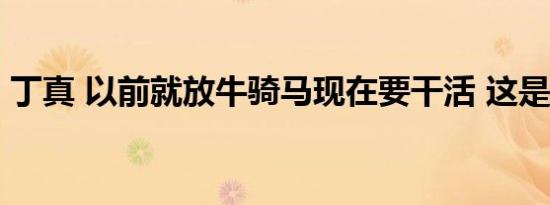 丁真 以前就放牛骑马现在要干活 这是怎样的