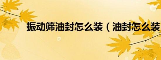 振动筛油封怎么装（油封怎么装）