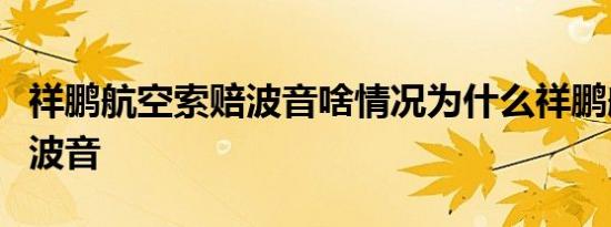 祥鹏航空索赔波音啥情况为什么祥鹏航空索赔波音
