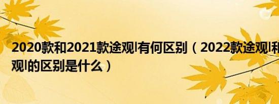 2020款和2021款途观l有何区别（2022款途观l和2021款途观l的区别是什么）