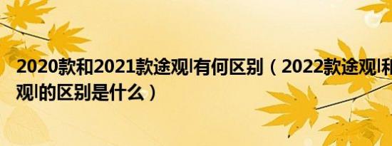 2020款和2021款途观l有何区别（2022款途观l和2021款途观l的区别是什么）