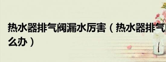 热水器排气阀漏水厉害（热水器排气阀漏水怎么办）