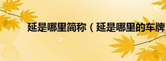 延是哪里简称（延是哪里的车牌）