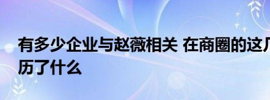 有多少企业与赵薇相关 在商圈的这几年她经历了什么
