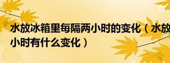 水放冰箱里每隔两小时的变化（水放冰箱6个小时有什么变化）