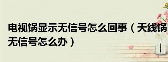 电视锅显示无信号怎么回事（天线锅电视显示无信号怎么办）