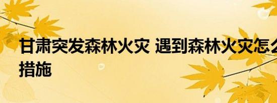 甘肃突发森林火灾 遇到森林火灾怎么办紧急措施