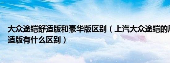 大众途铠舒适版和豪华版区别（上汽大众途铠的风尚版和舒适版有什么区别）