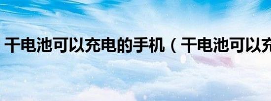 干电池可以充电的手机（干电池可以充电吗）