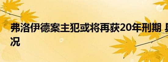 弗洛伊德案主犯或将再获20年刑期 具体啥情况