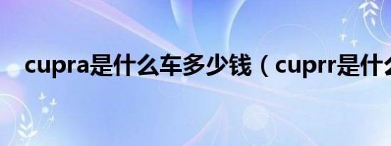 cupra是什么车多少钱（cuprr是什么车）