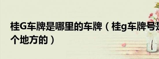 桂G车牌是哪里的车牌（桂g车牌号是广西哪个地方的）