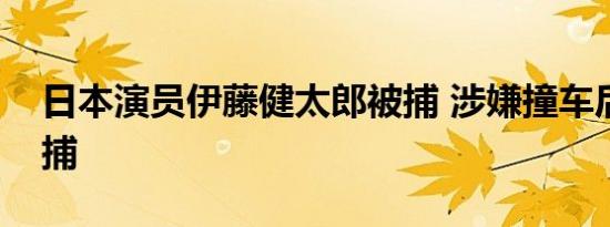 日本演员伊藤健太郎被捕 涉嫌撞车后逃逸被捕
