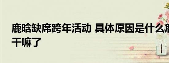 鹿晗缺席跨年活动 具体原因是什么鹿晗跨年干嘛了