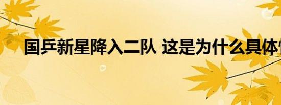 国乒新星降入二队 这是为什么具体情况