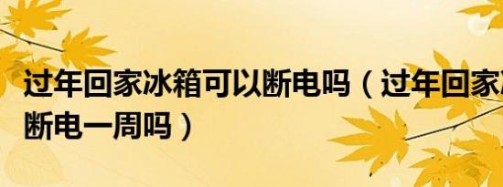 过年回家冰箱可以断电吗（过年回家冰箱可以断电一周吗）
