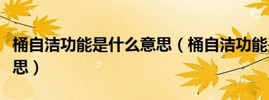 桶自洁功能是什么意思（桶自洁功能是什么意思）