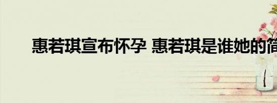惠若琪宣布怀孕 惠若琪是谁她的简介