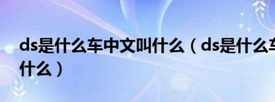 ds是什么车中文叫什么（ds是什么车中文叫什么）