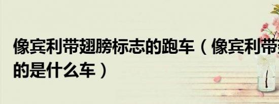 像宾利带翅膀标志的跑车（像宾利带翅膀标志的是什么车）