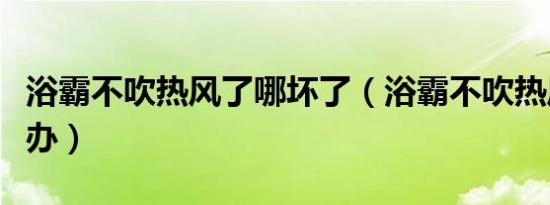 浴霸不吹热风了哪坏了（浴霸不吹热风了怎么办）