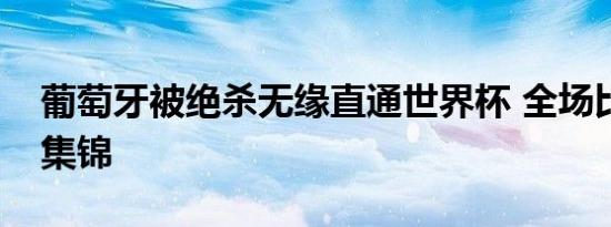 葡萄牙被绝杀无缘直通世界杯 全场比赛精彩集锦