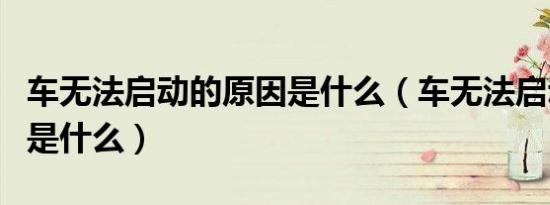 车无法启动的原因是什么（车无法启动的原因是什么）