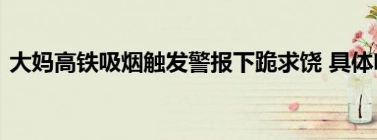 大妈高铁吸烟触发警报下跪求饶 具体啥情况