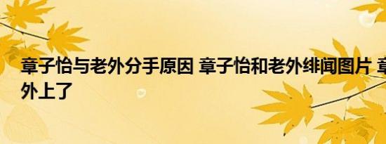 章子怡与老外分手原因 章子怡和老外绯闻图片 章子怡被老外上了