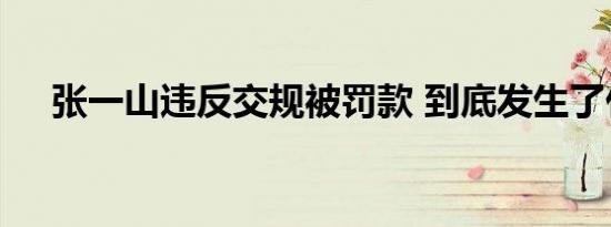 张一山违反交规被罚款 到底发生了什么