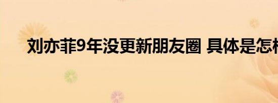 刘亦菲9年没更新朋友圈 具体是怎样的