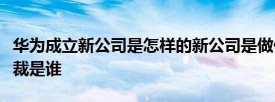 华为成立新公司是怎样的新公司是做什么的总裁是谁