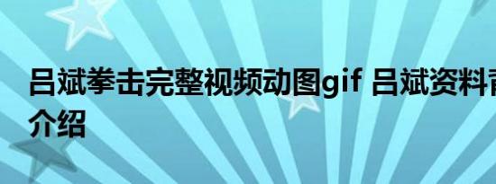 吕斌拳击完整视频动图gif 吕斌资料背景战绩介绍