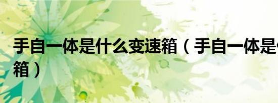 手自一体是什么变速箱（手自一体是什么变速箱）