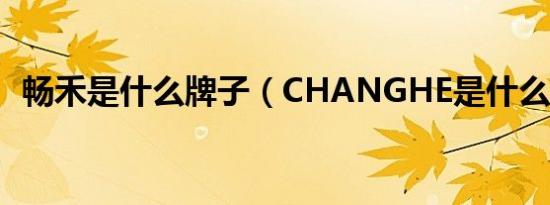 畅禾是什么牌子（CHANGHE是什么汽车）