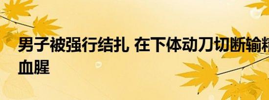 男子被强行结扎 在下体动刀切断输精管十分血腥